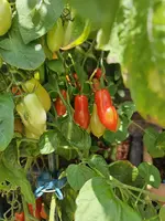 20240727_123021.jpg