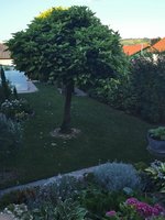 IMG_20240727_191956.jpg