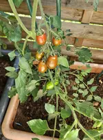 20240728_103344.webp