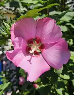 20240728_114101.webp