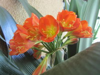 IMG_2415.JPG