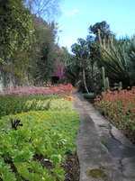 Jardim Botânico de Madeira 3.JPG