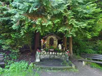 IMG_20240728_112403.jpg
