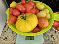 20240728_173052.jpg