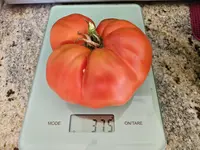 20240728_171238.jpg
