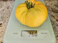 20240728_171353.jpg