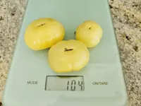 20240728_171431.jpg