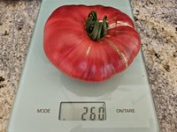 20240728_174054.jpg