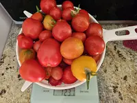 20240728_183628.webp