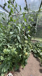 IMG_1012.jpeg