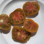 IMG_1217.jpeg