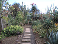 Jardim Botânico de Madeira 4.JPG