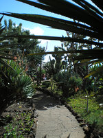 Jardim Botânico de Madeira 5.JPG