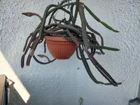 20240729_082502.webp