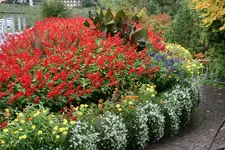 066.webp