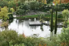 077.webp