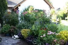 Juli          4924.webp