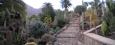 Cactualdea Park 1.jpg