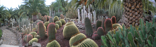 Cactualdea Park 2.jpg