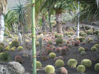 Cactualdea Park 3.JPG