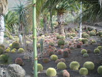 Cactualdea Park 3.JPG