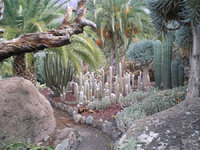 Cactualdea Park 5.JPG