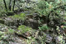 093.webp