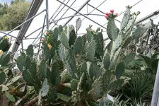 102.webp