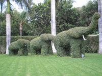 Loro Parque.JPG