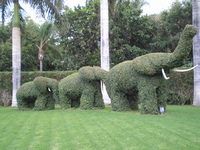Loro Parque.webp