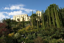 139.JPG