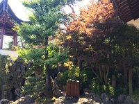IMG_2166.jpeg