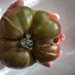 IMG_1365.jpeg