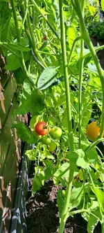 20240729_165851.webp