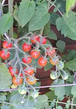 20240729_165530.webp