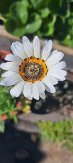 20240729_165446.webp