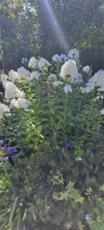 20240729_165408.webp