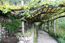 157.webp
