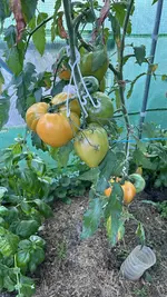 IMG_1374.webp