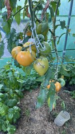 IMG_1374.jpeg