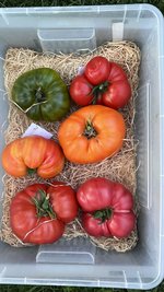 IMG_1386.jpeg