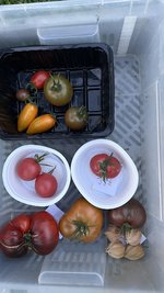 IMG_1387.jpeg