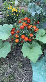 IMG_1382.jpeg