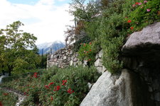 159.JPG