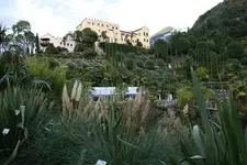 168.webp