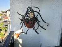 20240730_073956.webp