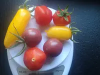 IMG_20240730_082149.webp