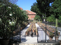 Giardini Botanico 1.JPG