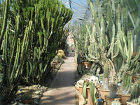 Giardini Botanico 2.JPG