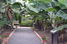 Casa del Plátano 1.JPG
